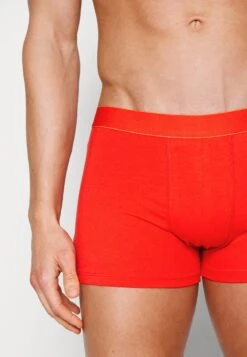 Pier One 7 PACK - Panties - Black /dark Blue/red -Deutschland Pier One Verkaufs-Shop 005fcc1fa5b04046b02e34977f020016