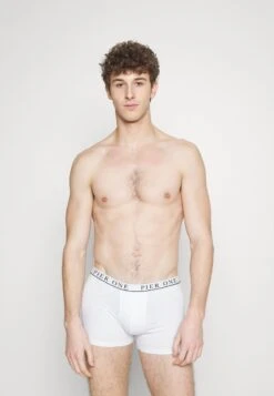 Pier One 5 PACK - Panties - White/pink/light Blue -Deutschland Pier One Verkaufs-Shop 3721024dbc554890a6059d1e8168907f