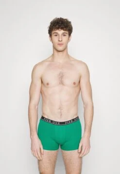 Pier One 5 PACK - Panties - Light Grey/black/green -Deutschland Pier One Verkaufs-Shop 848816986ca24fbcb5e57aec8f8eb96c