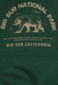 Pier One Sweatshirt - Dark Green -Deutschland Pier One Verkaufs-Shop 98f45f14fc32419d9ff9d39a6bc94089