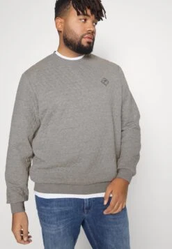 Pier One Sweatshirt - Grey -Deutschland Pier One Verkaufs-Shop cf49486252674b43a74ae61d47433558